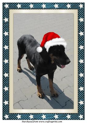 Christmas Santa Dog A4