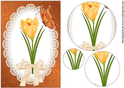 Golden Crocus Circle Pyramage