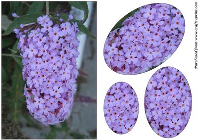 Floral Card Oval Pyramid 3