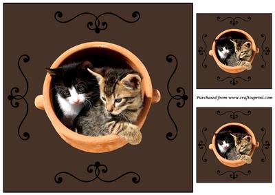 Cute Kittens in a Pot Topper