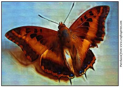 Butterfly Painting A4