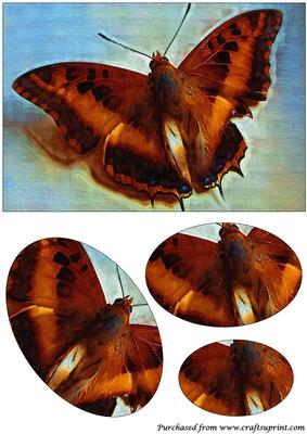 Butterfly Painting Oval Pyramid