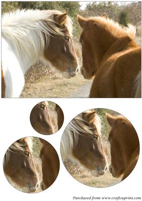 Wild Horses Circle Pyramage
