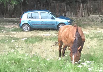 Car and Horse Watercolour Background