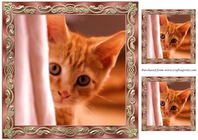 Curious Kitten Painting Topper