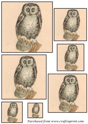 Vintage Owl Toppers 1