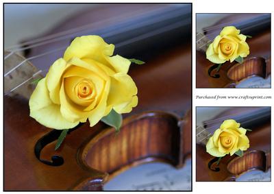 Violin and Rose Topper