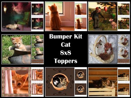 Bumper Kit Cat 8x8 Toppers