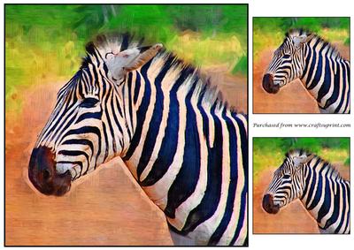 Zebra Painting Topper
