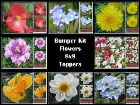 Bumper Kit Flowers 8x8 Toppers