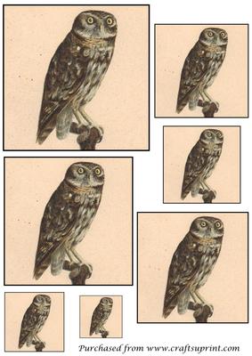 Vintage Owl Toppers 2