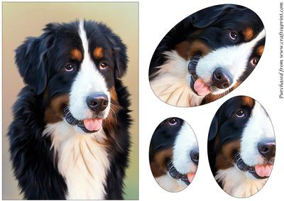 Bernese Mountain Dog Painting Oval Pyramid
