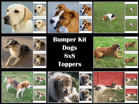 Bumper Kit Dogs 8x8 Toppers