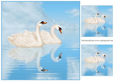 Swans on Lake Topper