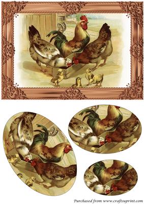 Farm Chickens Oval Pyramid