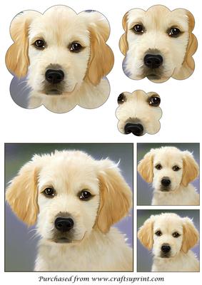 Golden Retriever Puppy Scalloped Pyramid