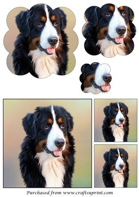 Bernese Mountain Dog Painting Scalloped Pyramid