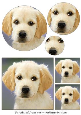 Golden Retriever Puppy Circle Pyramid