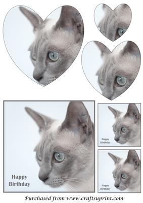 Cat Heart Shaped Pyramid 2