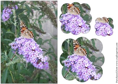 Butterfly and Flower Scalloped Pyramid
