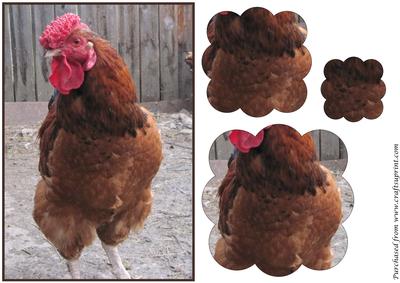 Cock Scalloped Pyramid