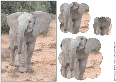 Cute Baby Elephant Scalloped Pyramid