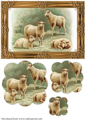Farm Sheep Scalloped Pyramid