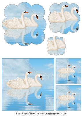 Swans on Lake Scalloped Pyramid