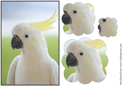 White Cockatoo Scalloped Pyramid