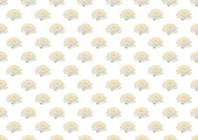 Lotus Flower White Yellow Backing Paper