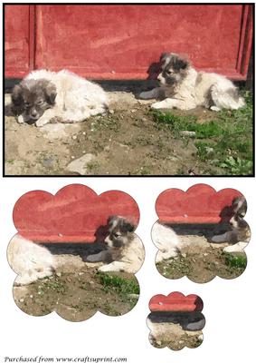 Cute Puppies Scalloped Pyramid