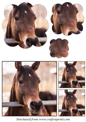 Arabian Horse Scalloped Pyramid