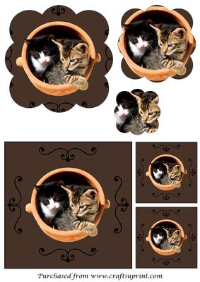 Cute Kittens in a Pot Scalloped Pyramid