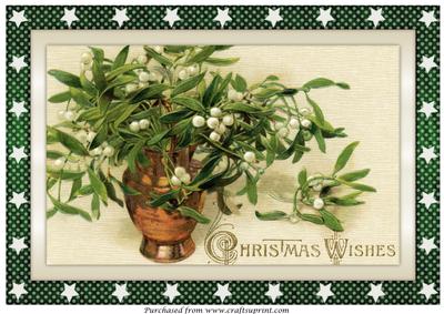 Christmas Mistletoe in Vase A4