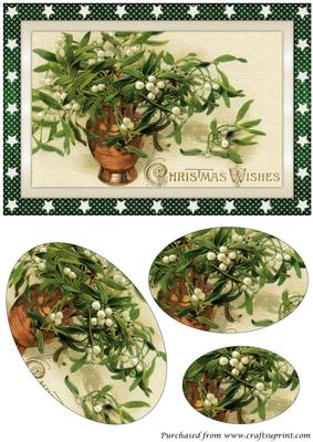 Christmas Mistletoe in Vase Oval Pyramid