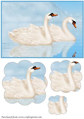 Swans on Lake Scalloped Pyramage