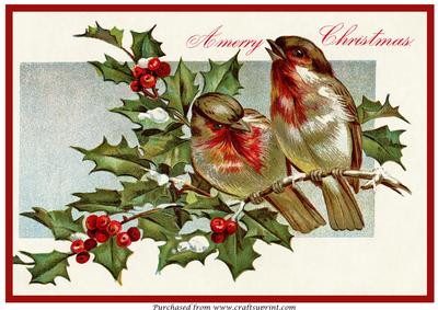 Vintage Christmas Birds A4