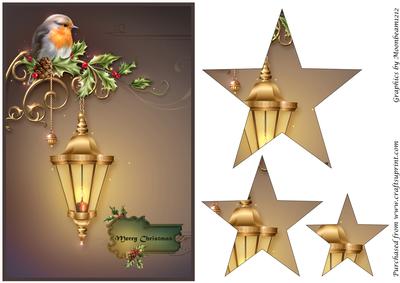 Christmas Robin on Street Lamp Star Pyramid