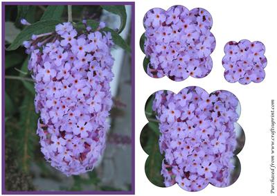 Floral Card Scalloped Pyramid 3