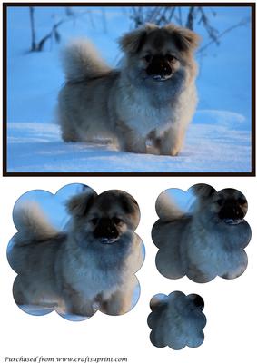 Tibetan Spaniel Puppy Scalloped Pyramid