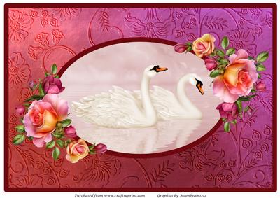 Swans in Rose Frame A4