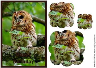Tawny Owl Scalloped Pyramid