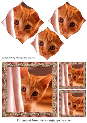 Curious Kitten Painting Splendid Pyramid