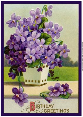 Vintage Purple Flowers A4