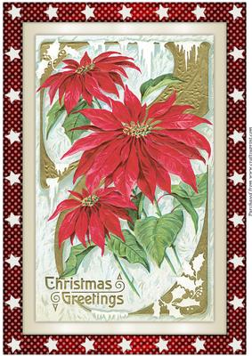Vintage Christmas Poinsettias A4