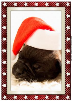 Cute Christmas Puppy A4