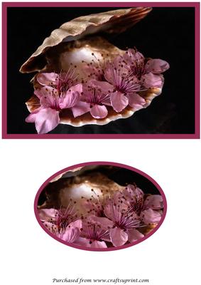 Sea Shell with Flowers Quick Card Front