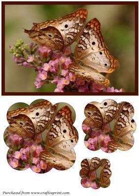 Butterfly Couple Scalloped Pyramid