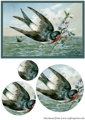 Vintage Bird with Flowers Circle Pyramid