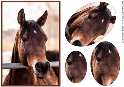 Arabian Horse Oval Pyramid